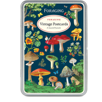 Vintage Post Card Set