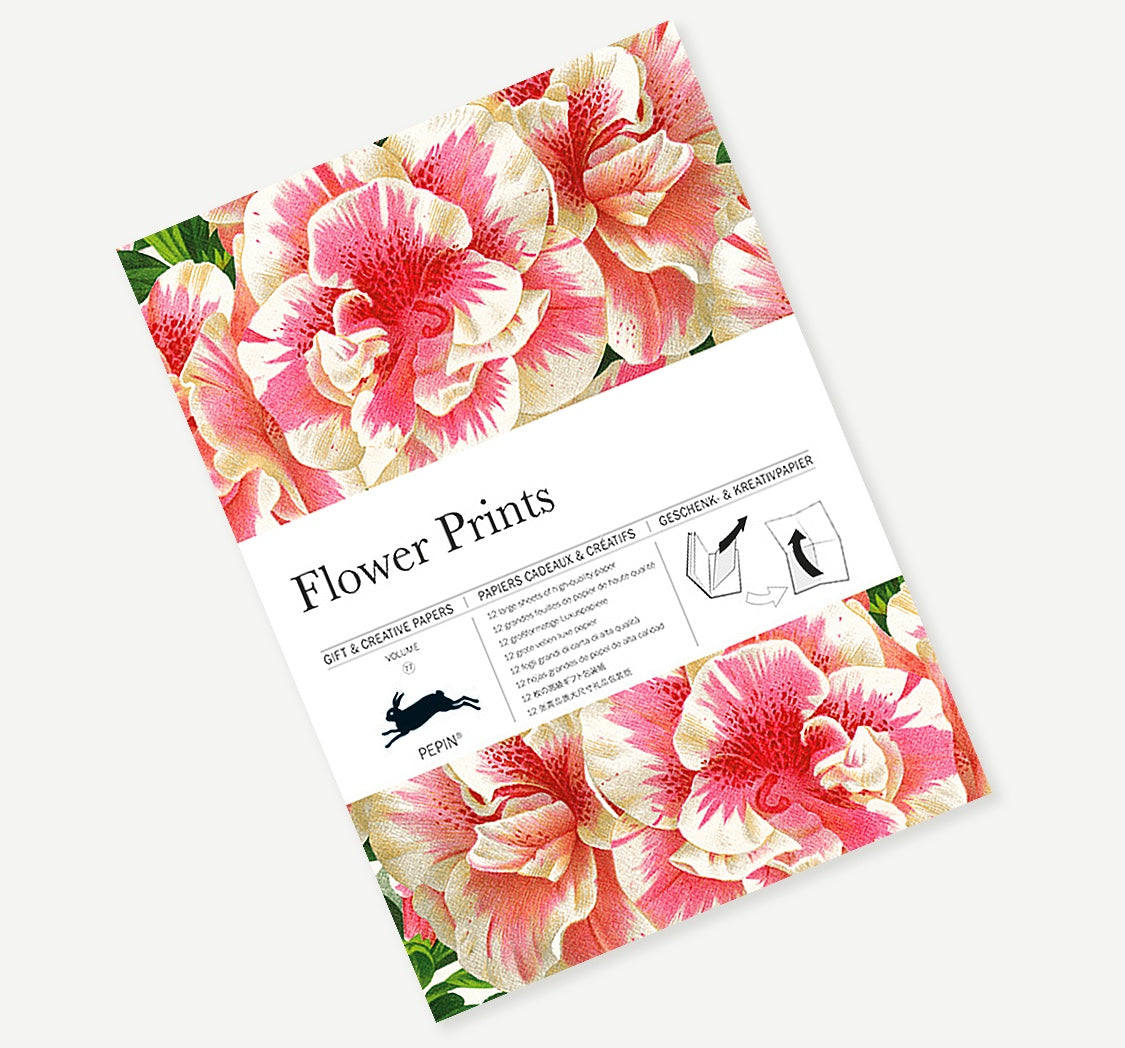 Gift & Creative Papers