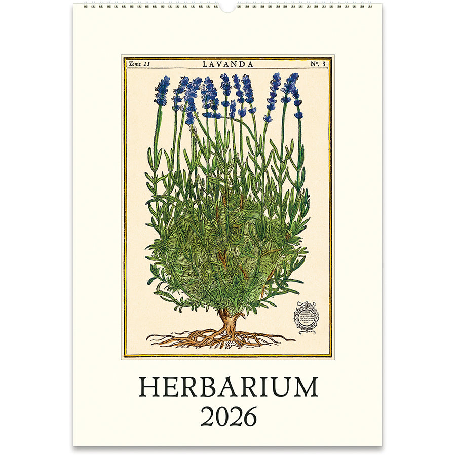 Wall Calendar 2026