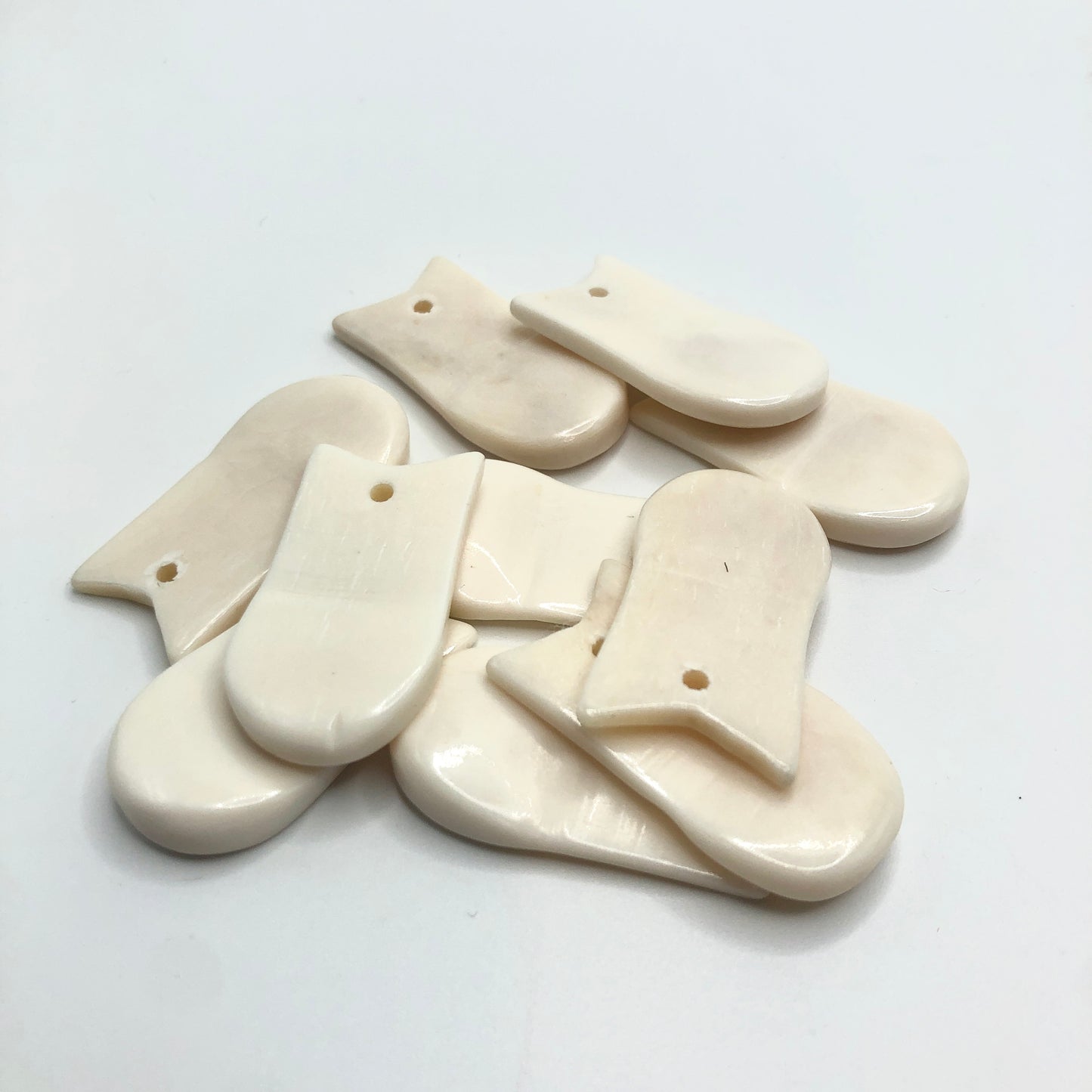 Bone Elk Teeth