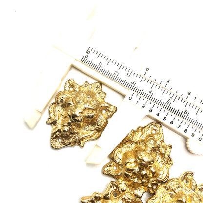 B&C Charms - Lion