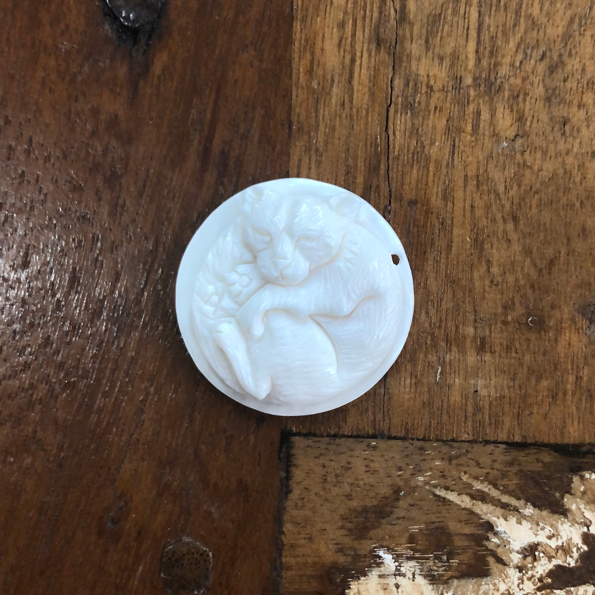 Bone Carvings, Cat