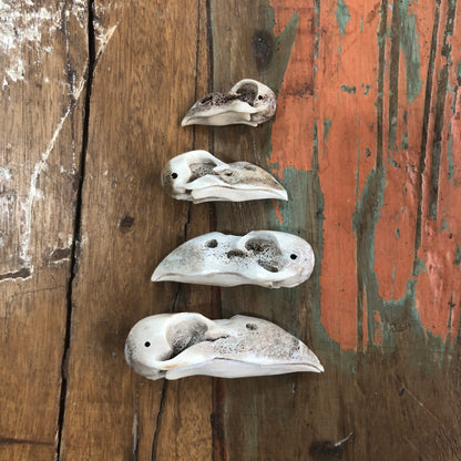 Antler Carvings, Crow Skull