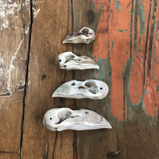Antler Carvings, Crow Skull