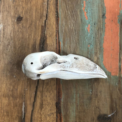 Antler Carvings, Crow Skull