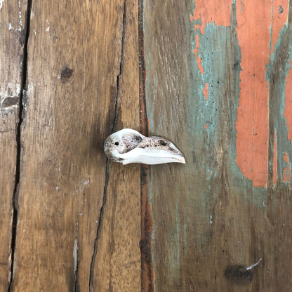 Antler Carvings, Crow Skull