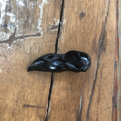 Horn Carvings, Crow Skull