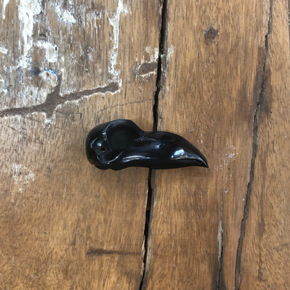 Horn Carvings, Crow Skull