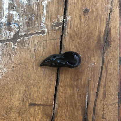 Horn Carvings, Crow Skull