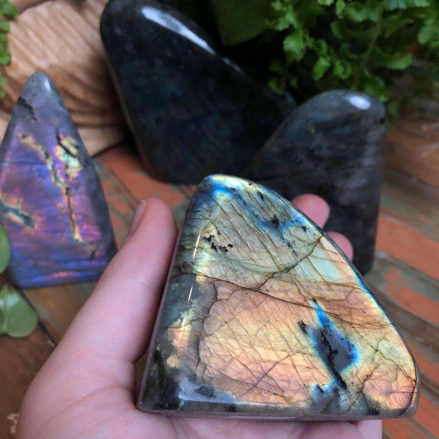 Labradorite Free Forms - Shakti