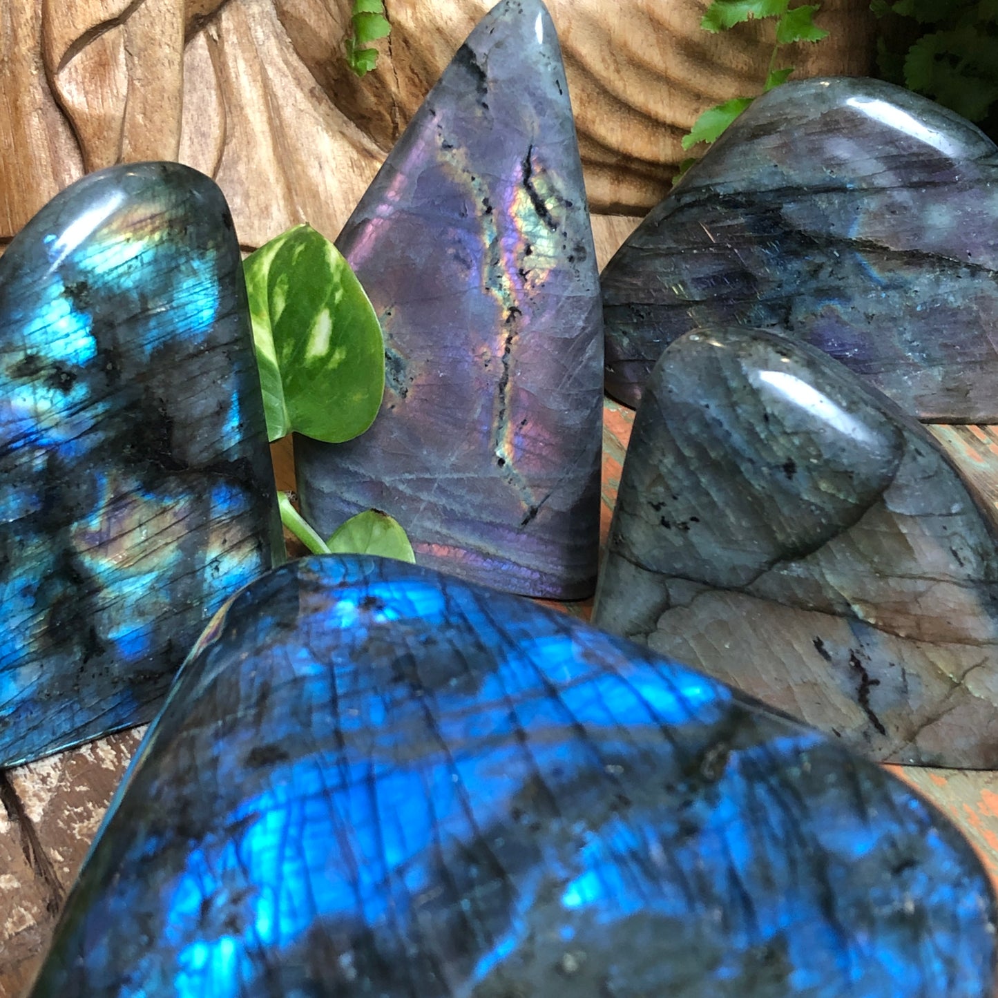 Labradorite Free Forms - Shakti