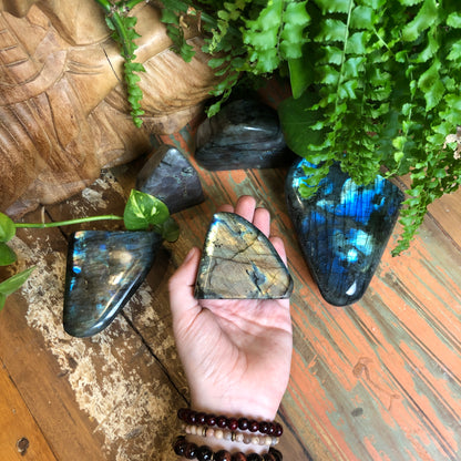 Labradorite Free Forms - Shakti