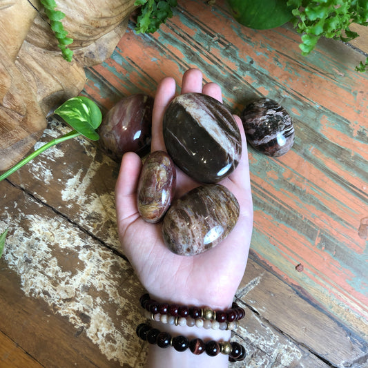 Petrified Wood Palm Stones - Shakti