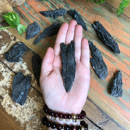 Raw Black Kyanite - Shakti