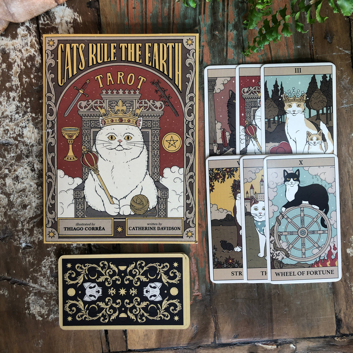 Cat Ruling Earth Cats Rule the Earth Tarot by Catherine Davidson – Shakti