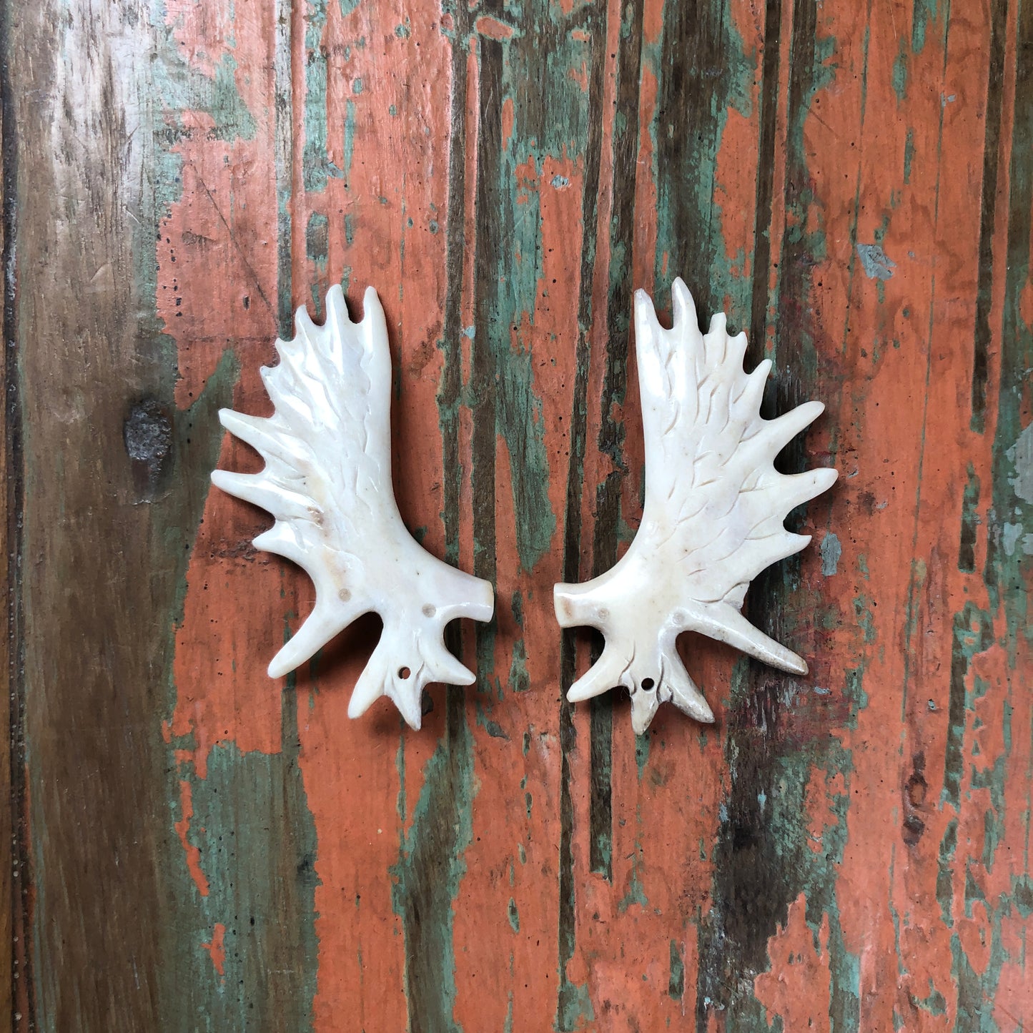 Antler Carvings, Antlers