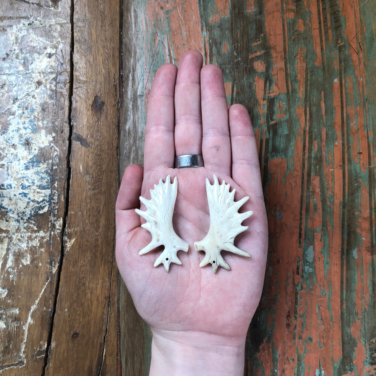 Antler Carvings, Antlers