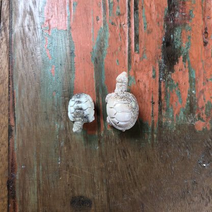 Antler Carvings, Tortoise