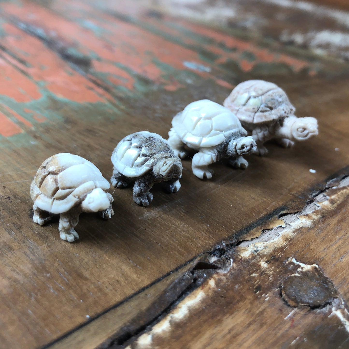Antler Carvings, Tortoise