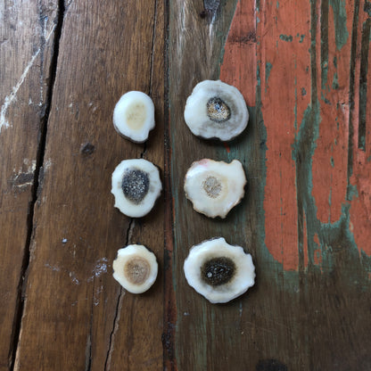 Antler Carvings, Cabochon
