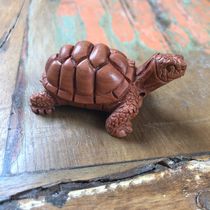 Wood Carvings, Tortoise
