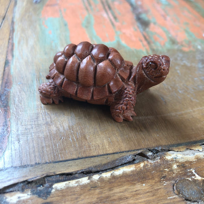 Wood Carvings, Tortoise