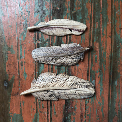 Wood Carvings, Feathers