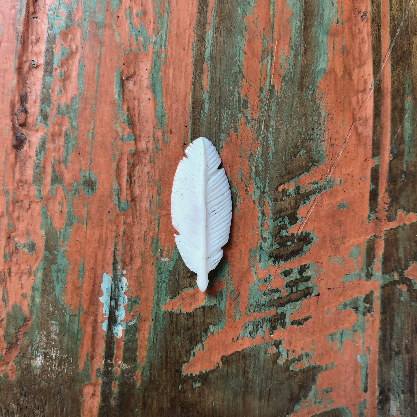 Bone Carvings, Feathers
