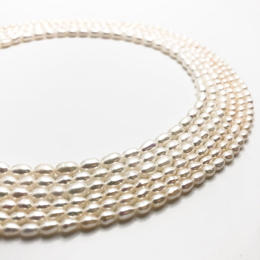 Freshwater Pearl - Rice