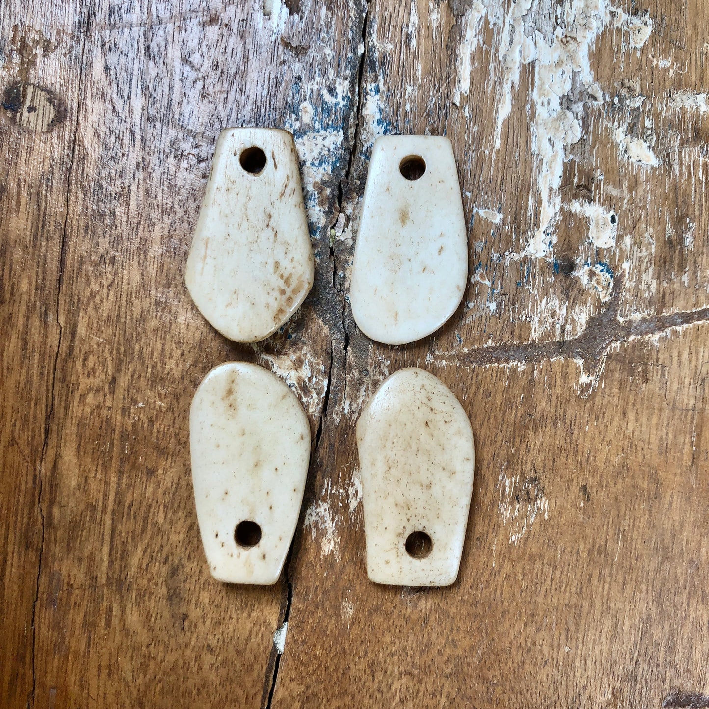 Faux Elk Teeth