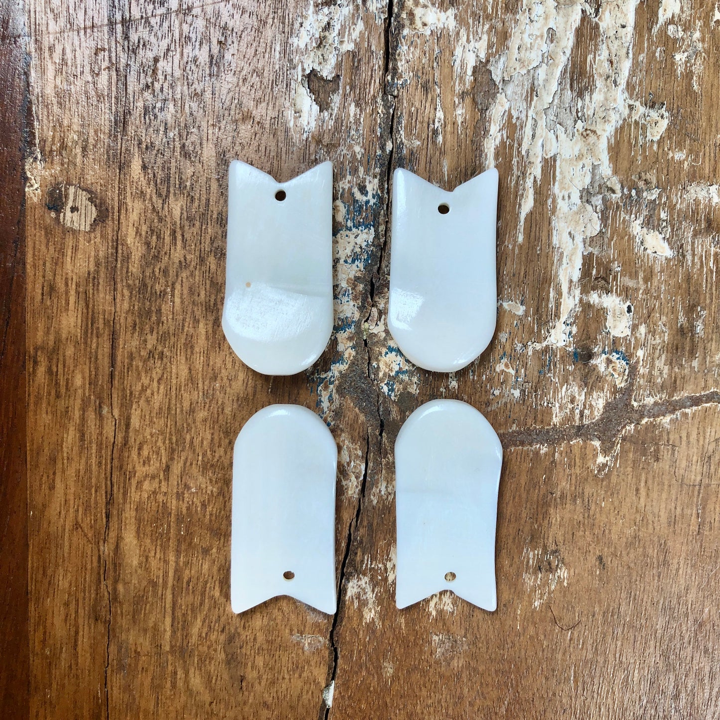 Faux Elk Teeth