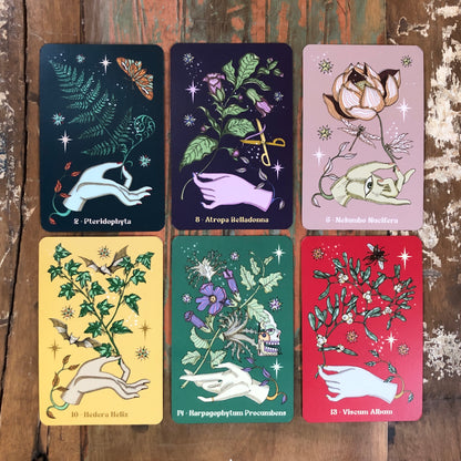 Herbarium Oracle by Lo Scarabeo