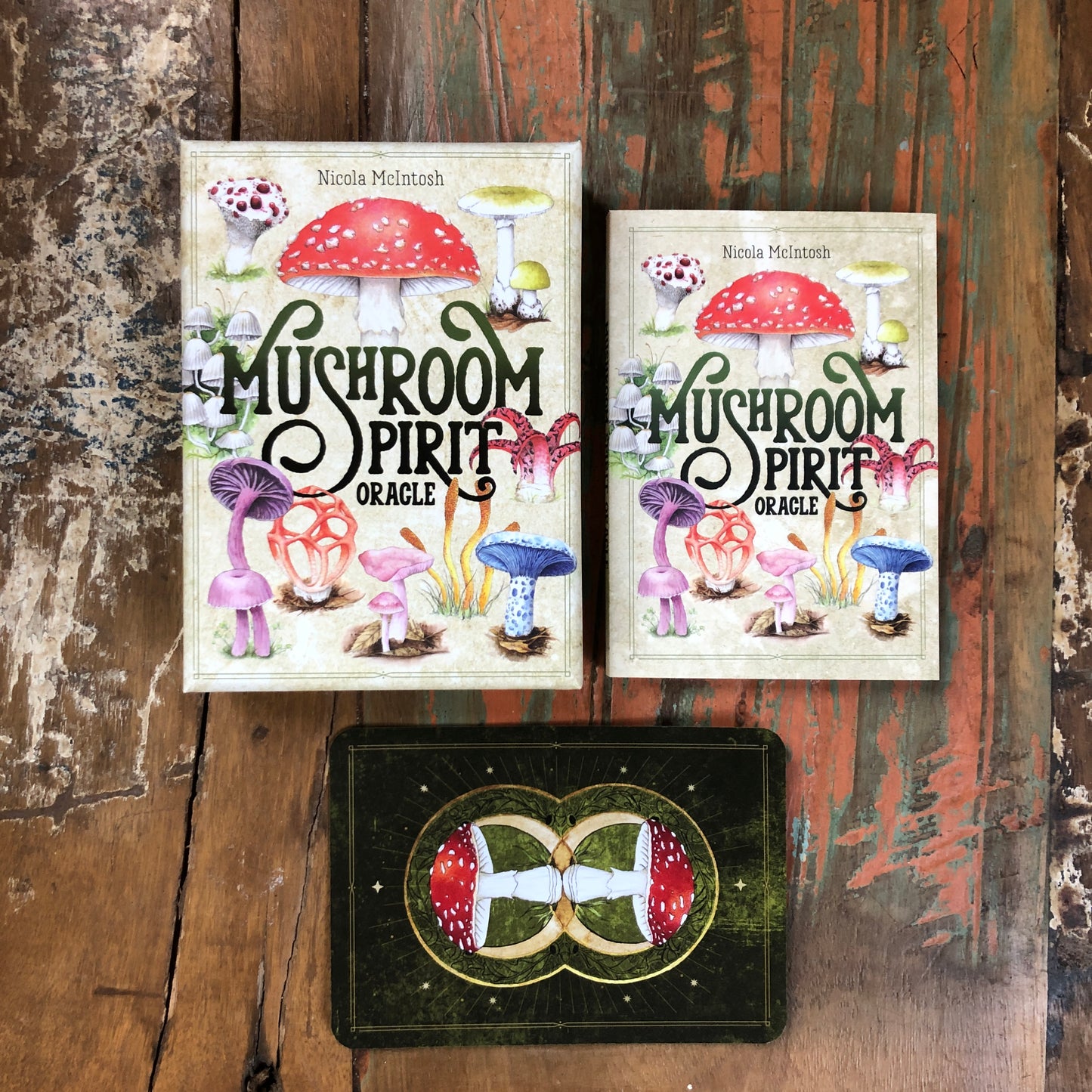 Mushroom Spirit Oracle by Nicola McIntosh