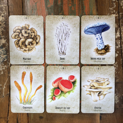 Mushroom Spirit Oracle by Nicola McIntosh