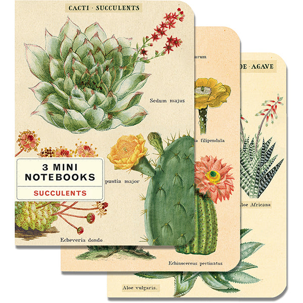 Mini Notebooks (Set of 3)
