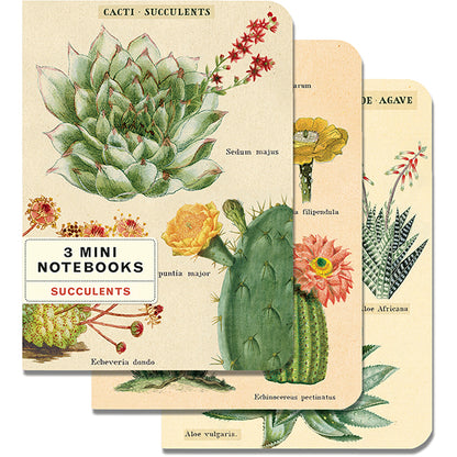 Mini Notebooks (Set of 3)