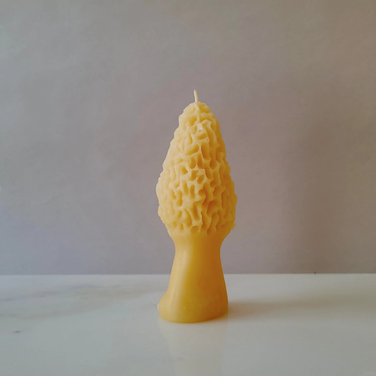 Barletta Beeswax Candle - Morel Mushroom