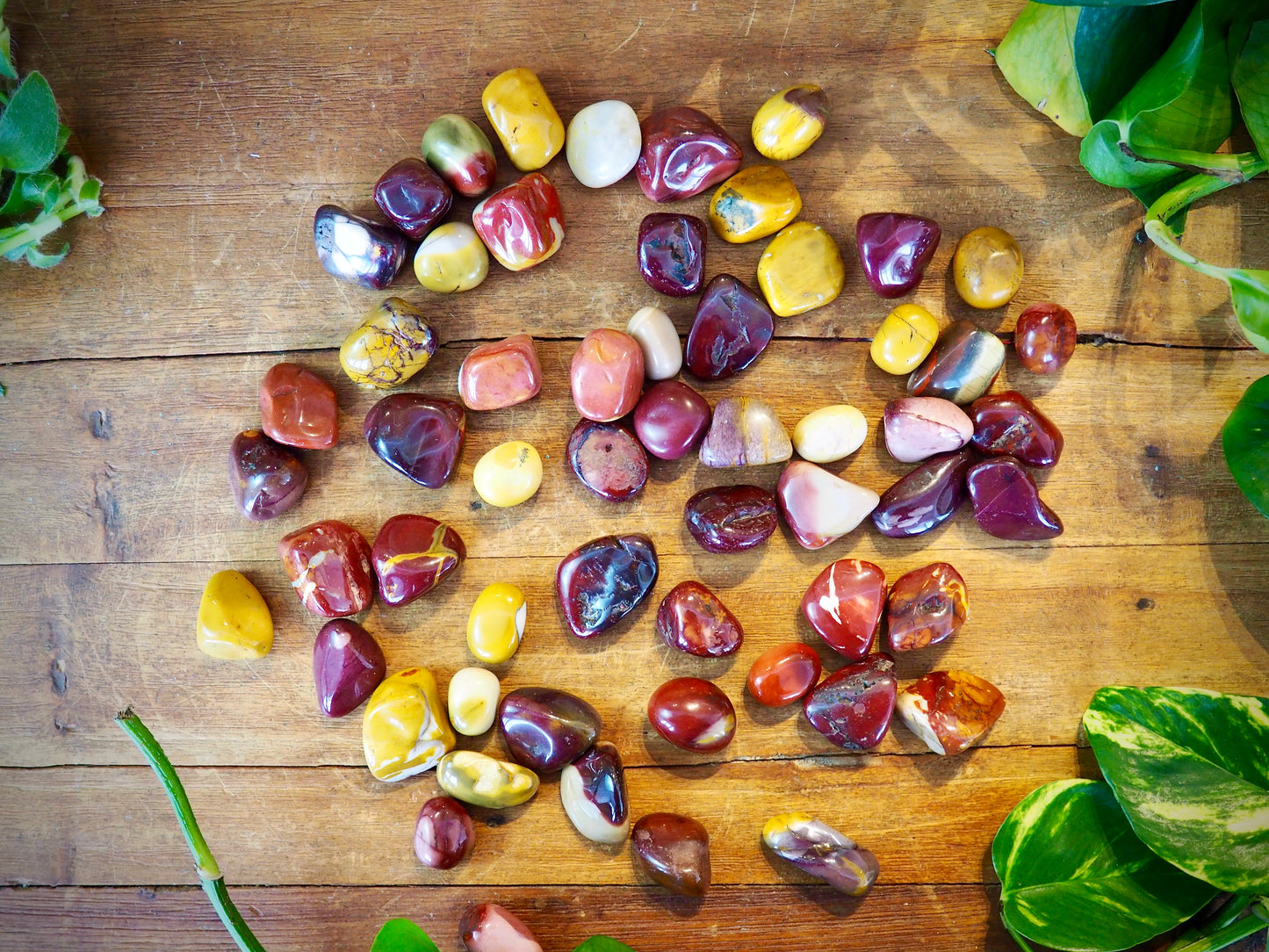 Mookaite Tumble Stones - Shakti