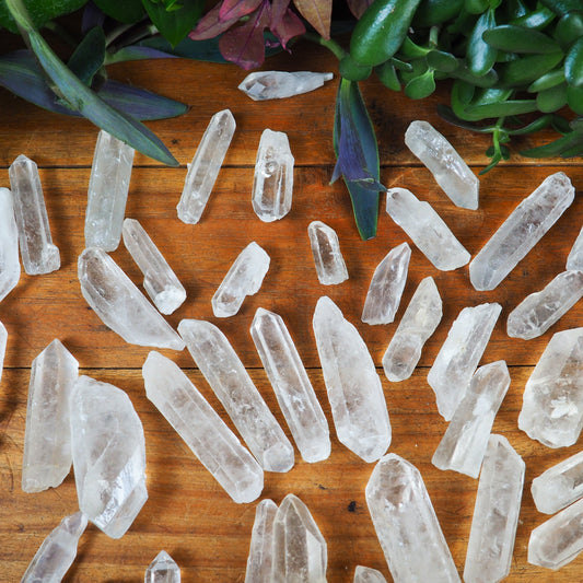 Clear Quartz Points - Shakti