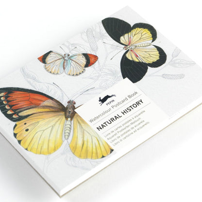Watercolour Postcard Book - Shakti