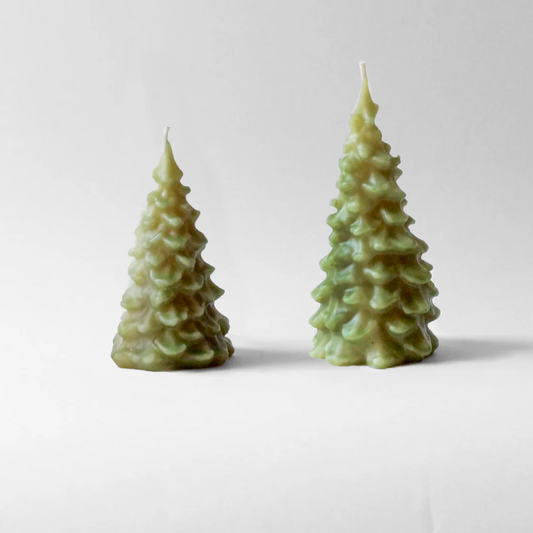 Barletta Beeswax Candle - Spruce Tree