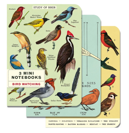 Mini Notebooks (Set of 3)