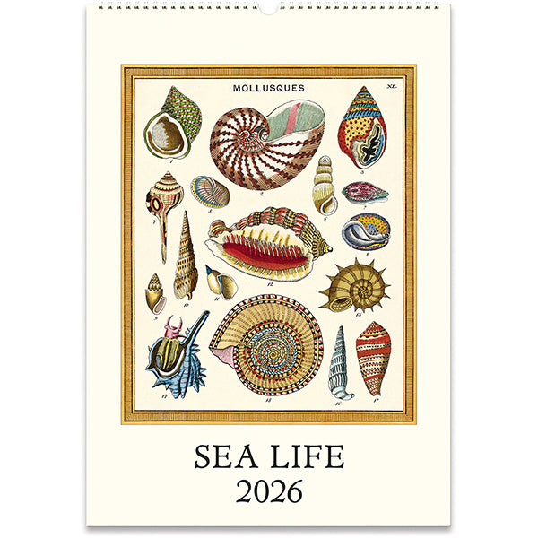 Wall Calendar 2026