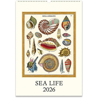 Wall Calendar 2026
