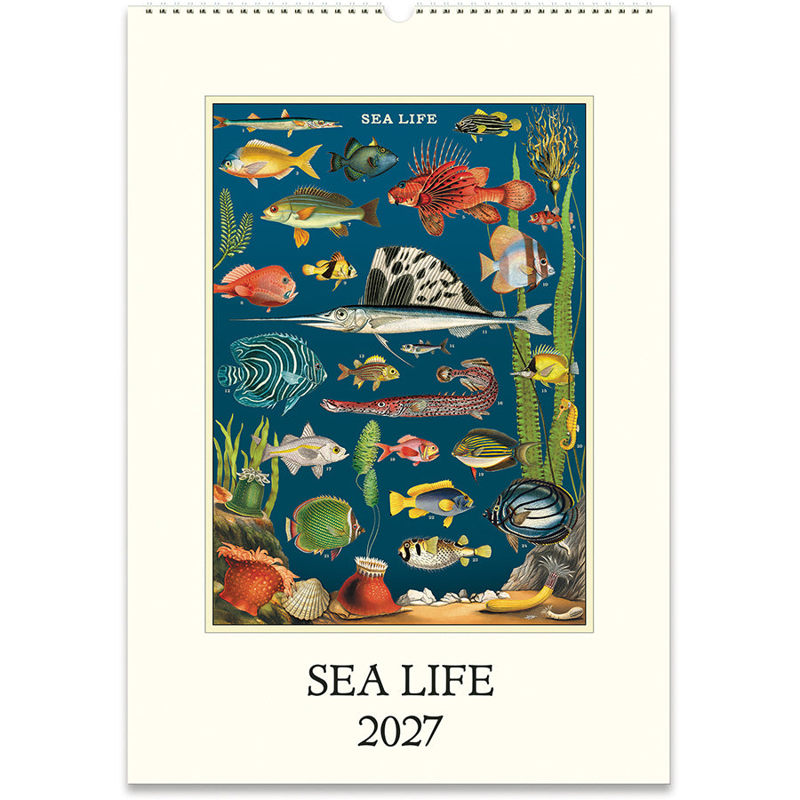 Wall Calendar 2027