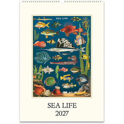 Wall Calendar 2027