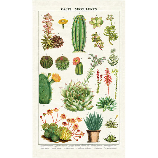 Vintage Tea Towel - Succulents