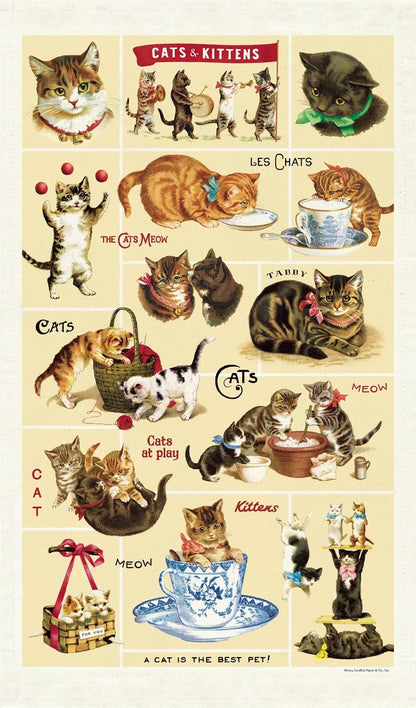 Vintage Tea Towel - Vintage Cats