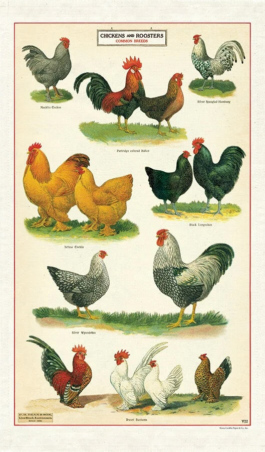 Vintage Tea Towel - Chickens