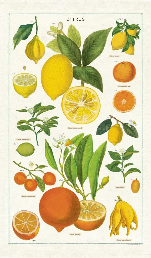Vintage Tea Towel - Citrus